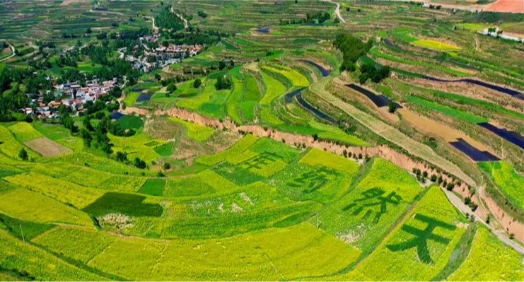 實(shí)干篤行勇?lián)?dāng) 善作善成開(kāi)新局——甘肅金控融資擔(dān)保集團(tuán)股份有限公司成立五周年發(fā)展紀(jì)實(shí)